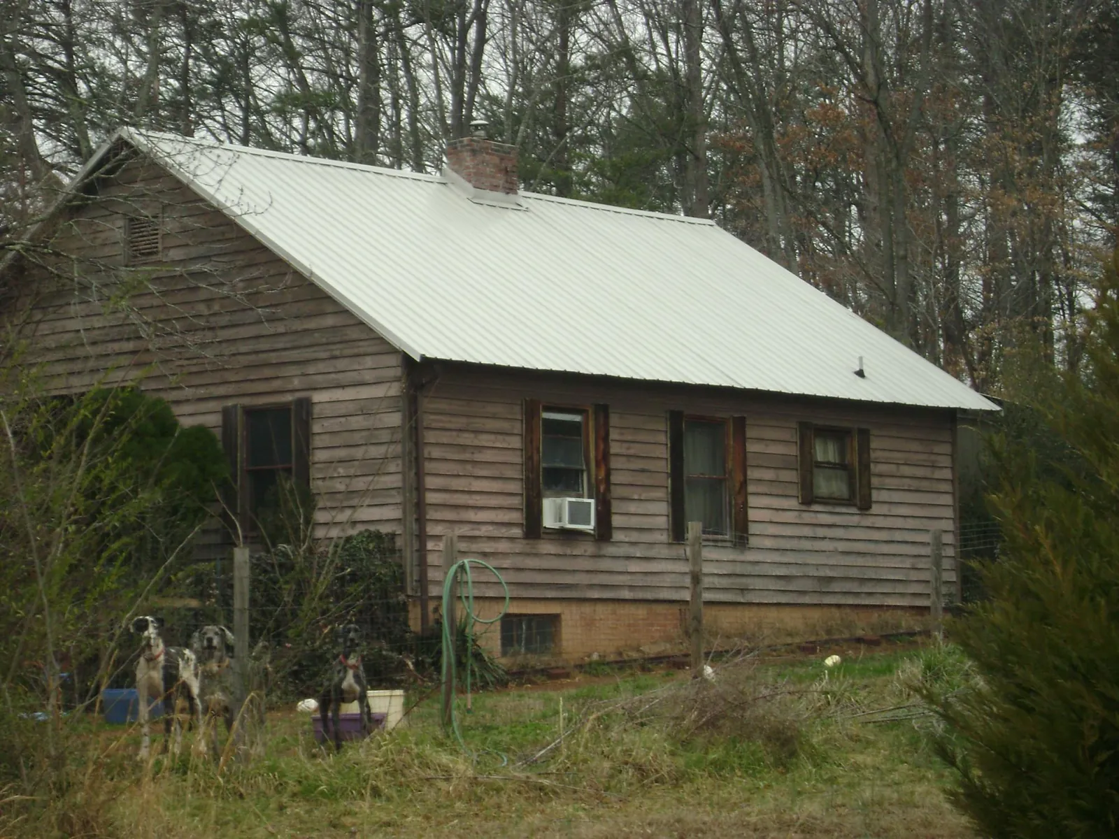White metal roof on an old wood sided farmhouse, from a Asphalt Shingle Roof Repair job in Grand Coteau